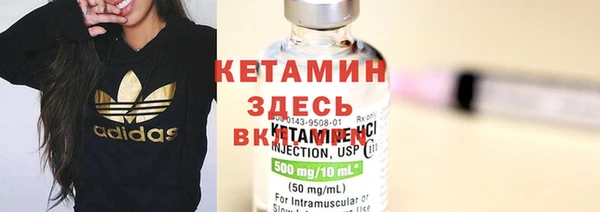 прущие крисы Бородино