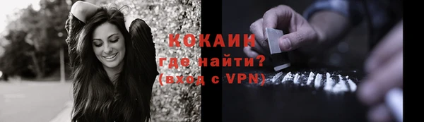 прущие крисы Бородино