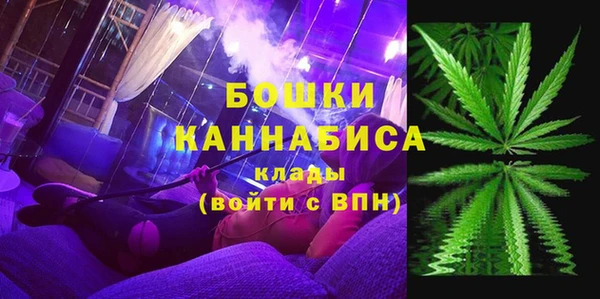 прущие крисы Бородино
