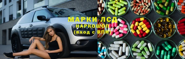 прущие крисы Бородино