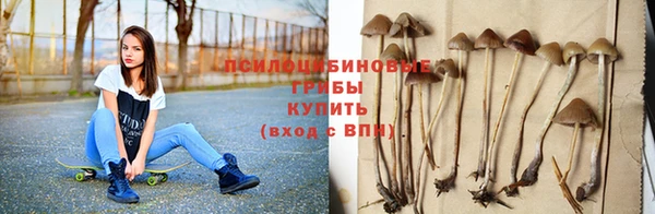 винт Бронницы